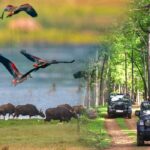 ଦାରିଙ୍ଗବାଡ଼ିରେ ଶୀତ ଋତୁ ପର୍ଯ୍ୟଟନ ଚଞ୍ଚଳ