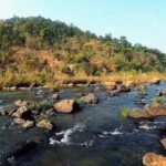 ଦାରିଙ୍ଗବାଡ଼ିରେ ଶୀତ ଋତୁ ପର୍ଯ୍ୟଟନ ଚଞ୍ଚଳ